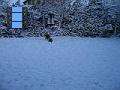 2009-12-18 13 M